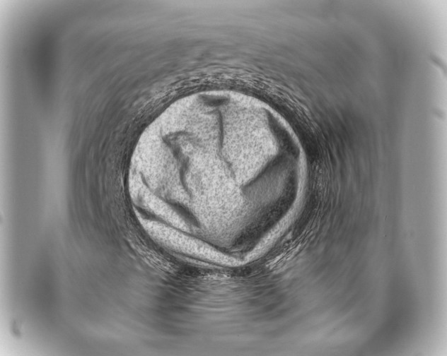 X0000094941489200712201103