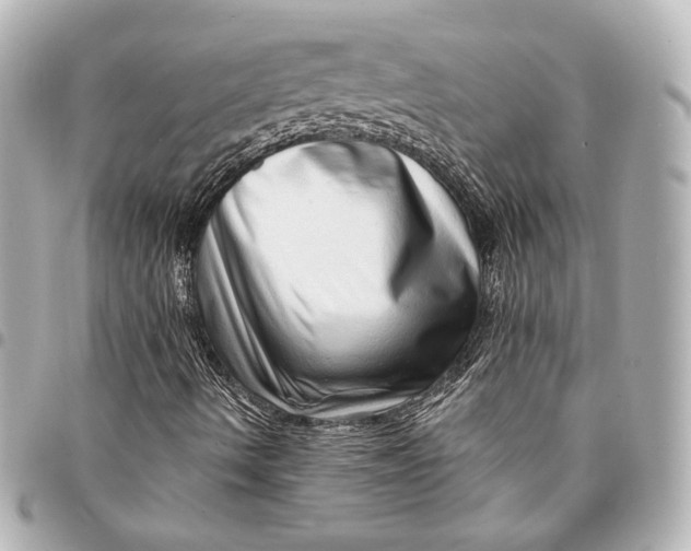 X0000094941490200712201103