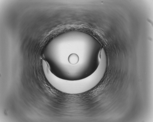 X0000094941492200712201103