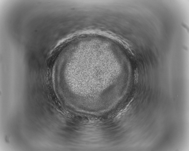 X0000094941494200712201103