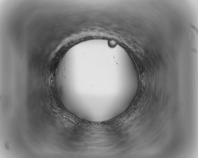 X0000094941495200712201103