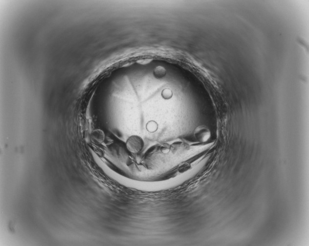 X0000094941496200712201103