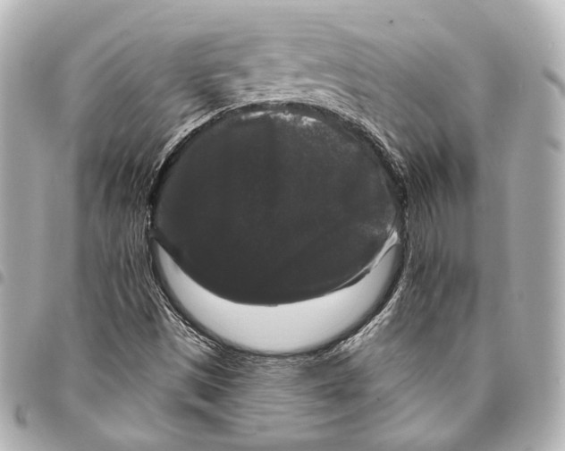 X0000094941497200712201103