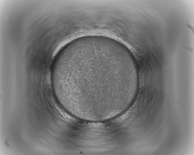 X0000094941498200712201103