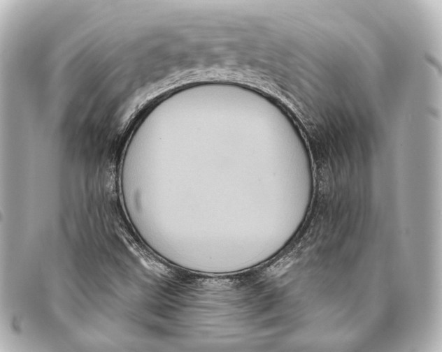 X0000094941499200712201103