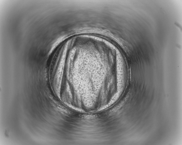 X0000094941501200712201103