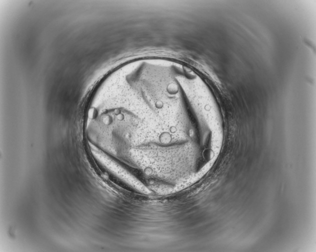 X0000094941504200712201103