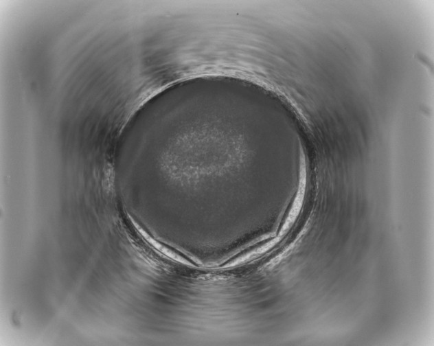 X0000094941505200712201103