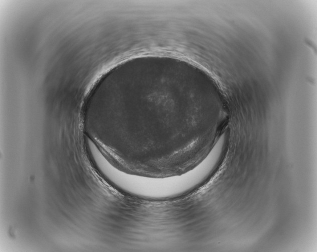 X0000094941506200712201103