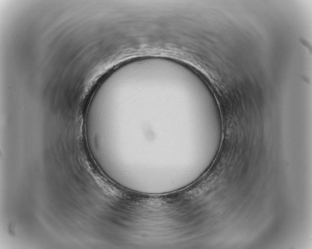 X0000094941507200712201103