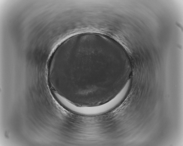 X0000094941508200712201103