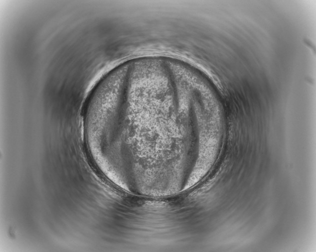 X0000094941509200712201103