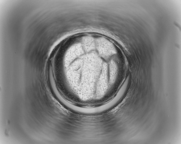 X0000094941510200712201103