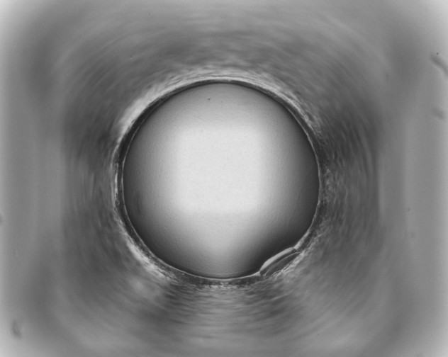 X0000094941511200712201103