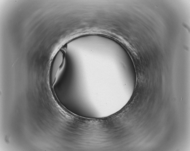 X0000094941512200712201103