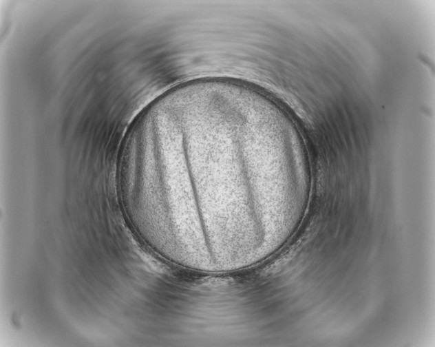 X0000094941513200712201103