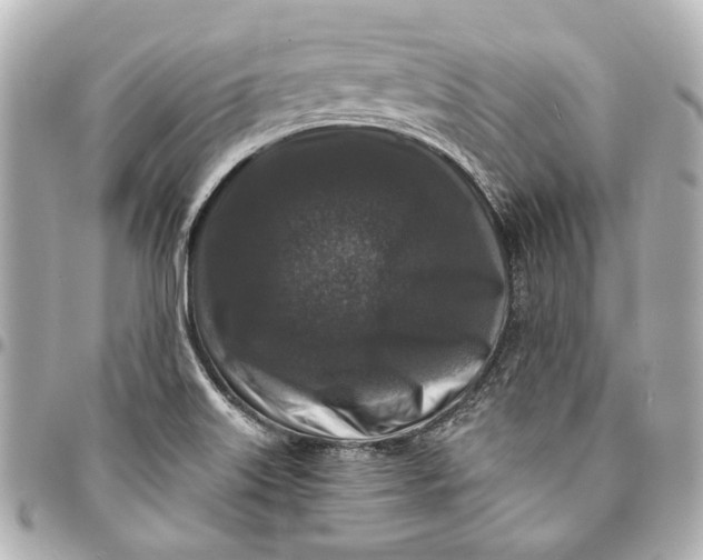 X0000094941515200712201103