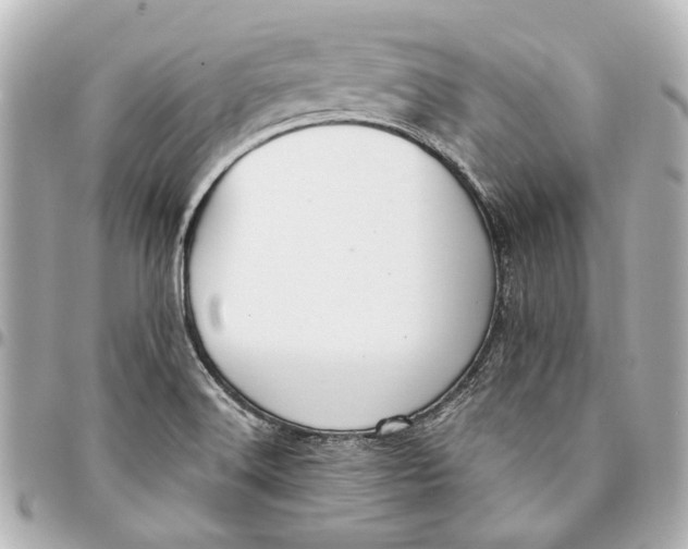 X0000094941516200712201103