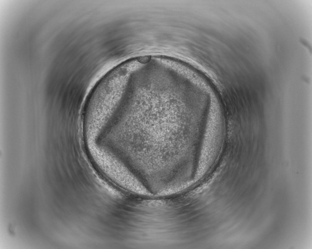 X0000094941517200712201103