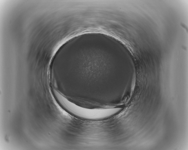 X0000094941519200712201103