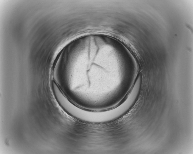 X0000094941520200712201103