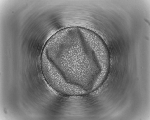 X0000094941521200712201103