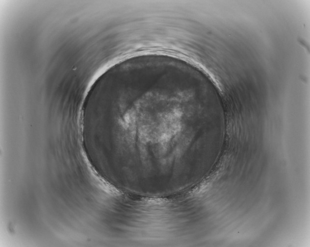 X0000094941522200712201103