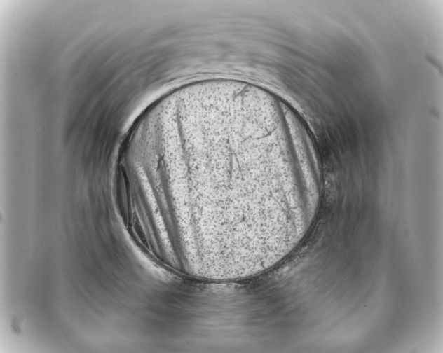 X0000094941523200712201103