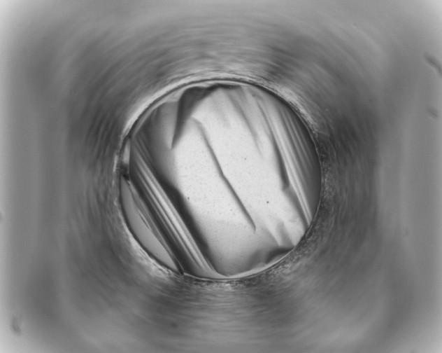 X0000094941524200712201103