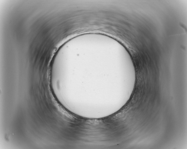 X0000094941526200712201103