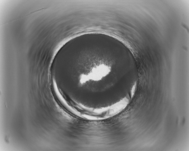 X0000094941527200712201103