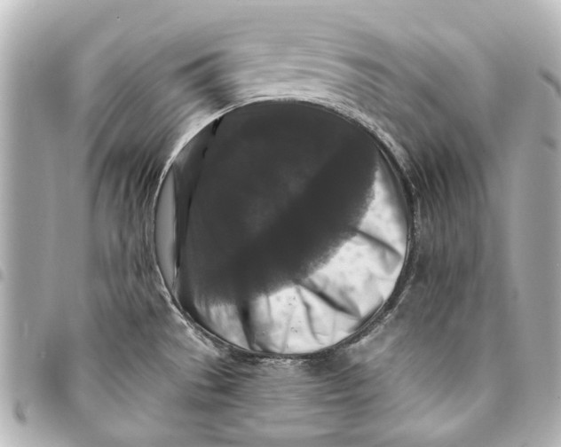 X0000094941529200712201103