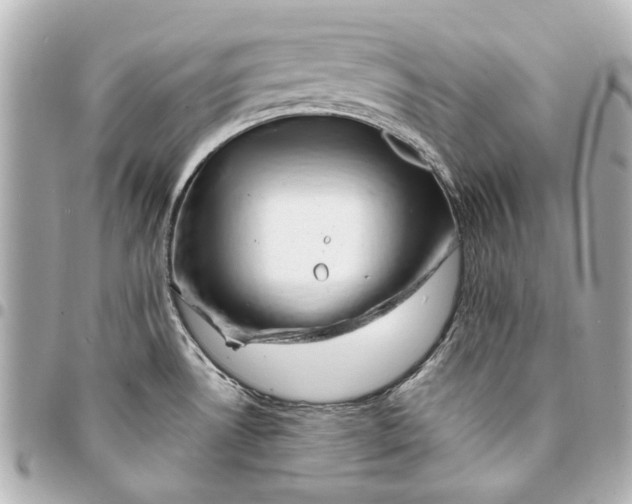 X0000094941530200712201103