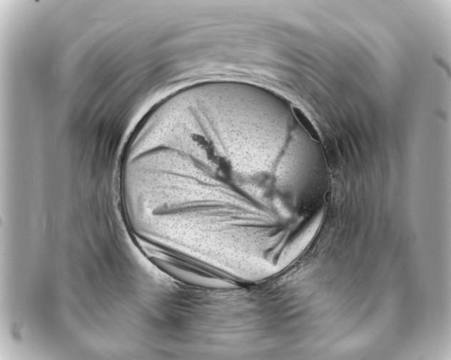 X0000094941531200712201104