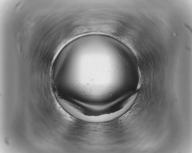 X0000094941532200712201104