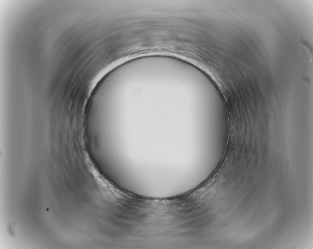 X0000094941534200712201104