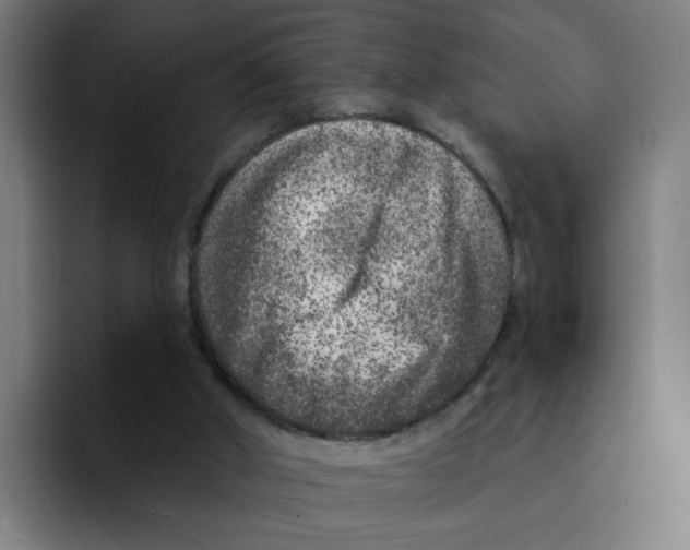 X0000094940010200712271622