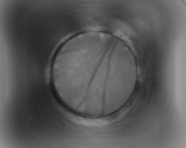 X0000094940012200712271622
