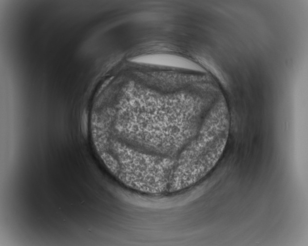 X0000094940014200712271622
