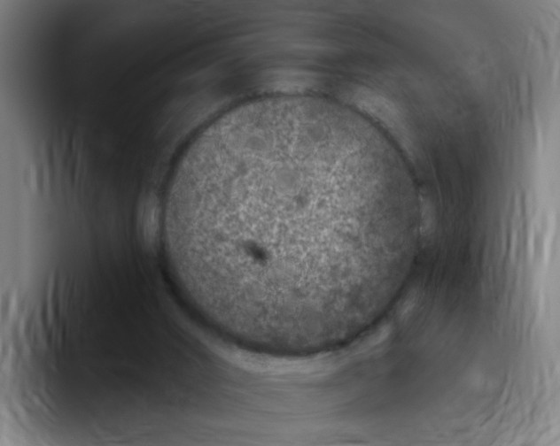 X0000094940016200712271622