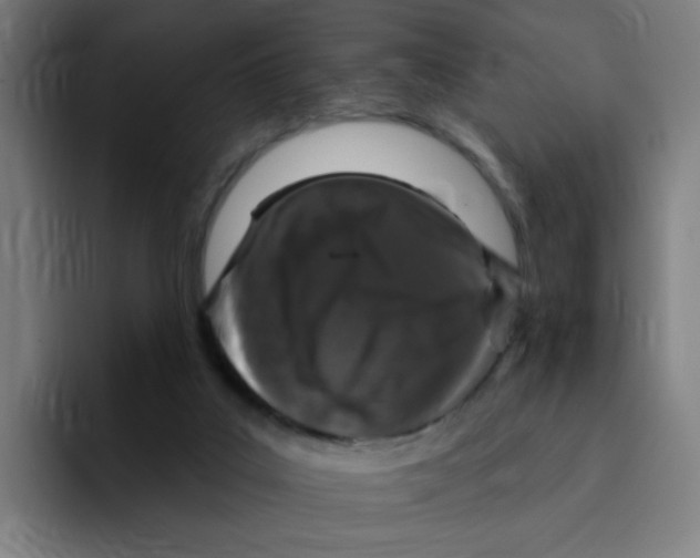 X0000094940019200712271622