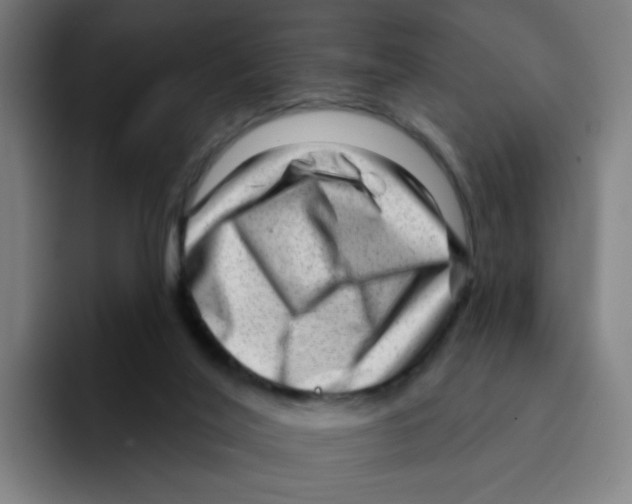 X0000094940020200712271622