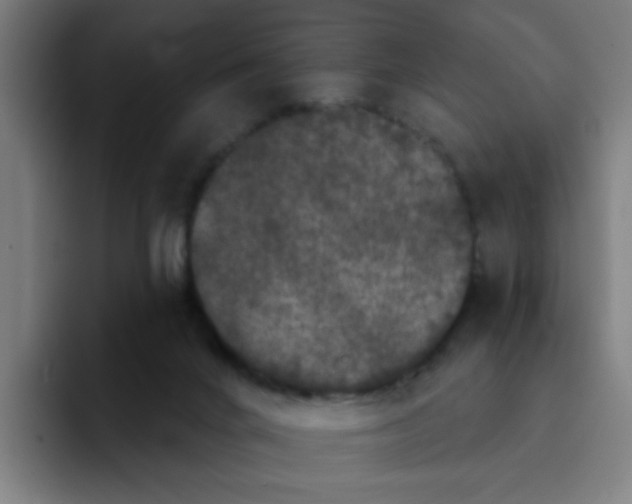 X0000094940024200712271622