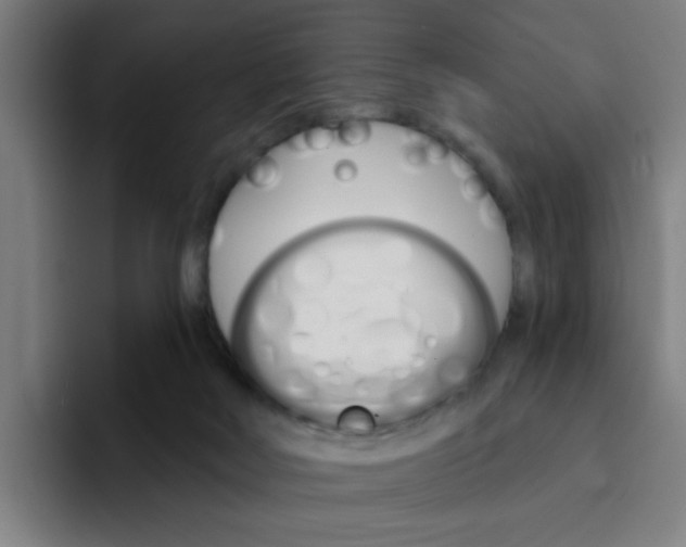 X0000094940026200712271622