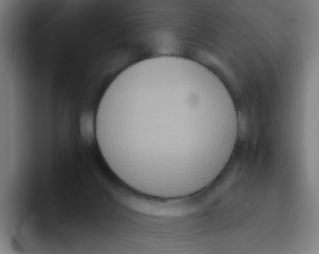 X0000094940028200712271622