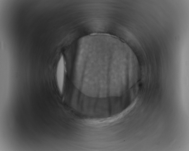X0000094940029200712271622