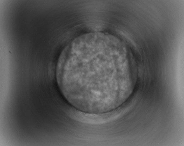 X0000094940030200712271622