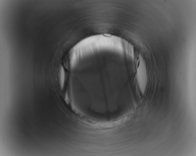 X0000094940031200712271622