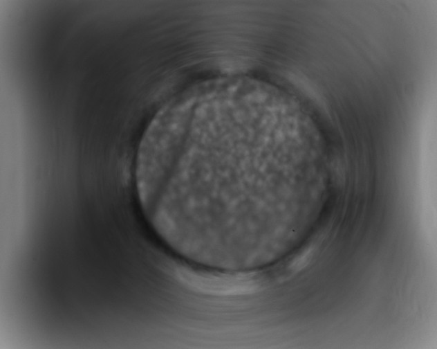 X0000094940032200712271622