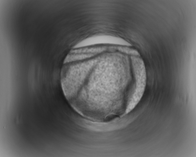 X0000094940034200712271622